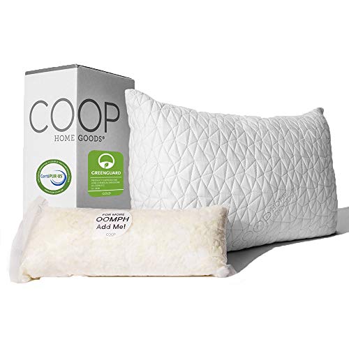 02-Coop-Home-Goods-Premium-Adjustable-Loft-Pillow