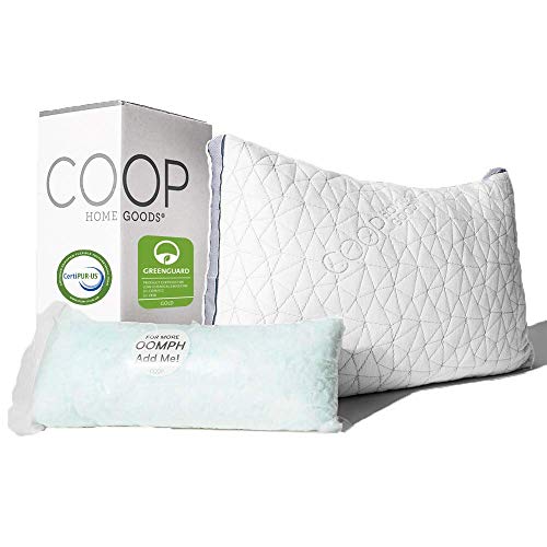11-Coop-Home-Goods-Eden-Adaptable-Pillow