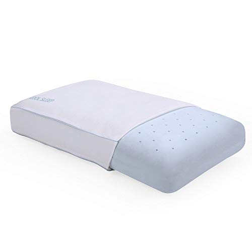 17-Classic-Brands-Sleep-Gel-Memory-Foam-Pillow
